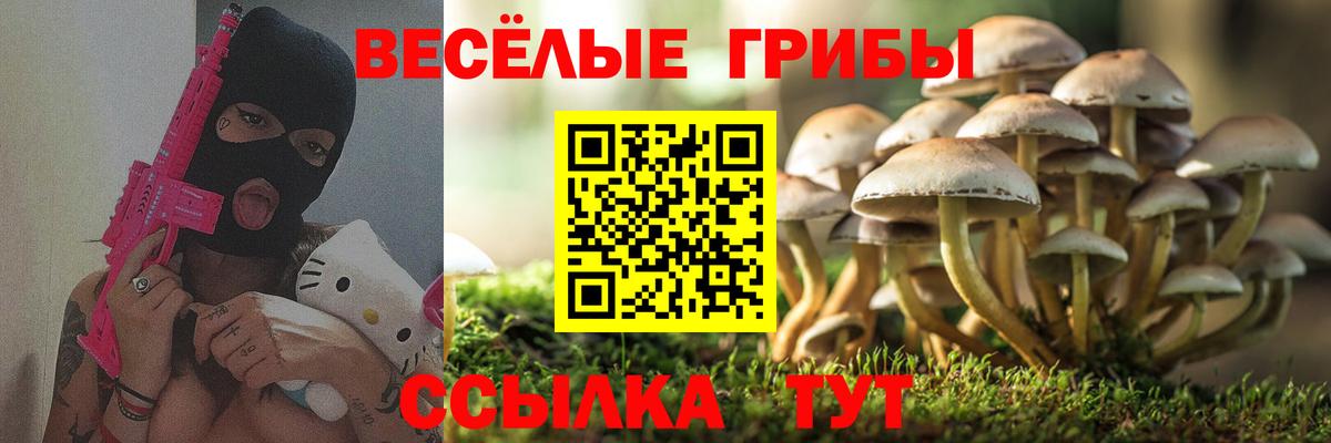 Галлюциногенные грибы Magic Shrooms  цены наркотик  Псилоцибиновые грибы ЛСД  Тихвин  Вход с VPN 